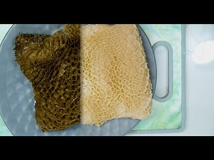 HOW TO CLEAN BEEF TRIPE (SHAKI)|| BEEF TRIPE