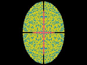 Discrete Element Method (DEM) for Granular Materials and Planetary Science