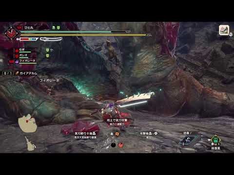 [モンハンライズ] #8 ※マイク故障してるので喋りません