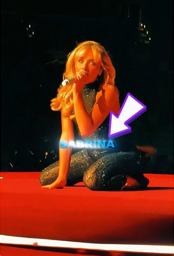 Celebrity Concert Chaos: Fans Throw Objects at Performers