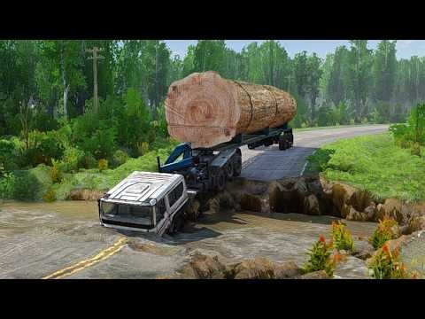 The Dark Impact of Forest Logging Roads