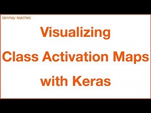 Visualizing Class Activation Maps for CNNs with Keras!