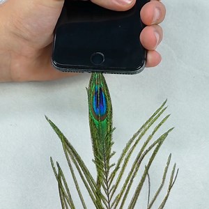 839K views · 1.4K reactions | It pulls right out!  | Craft Factory | Facebook