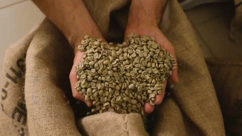 From Coffee Crash to Dictatorship: How Vargas Took Over Brazil