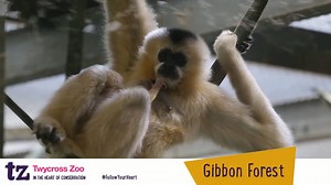 4.4K views · 34 reactions | Happy Bank Holiday Weekend!  Tickets...