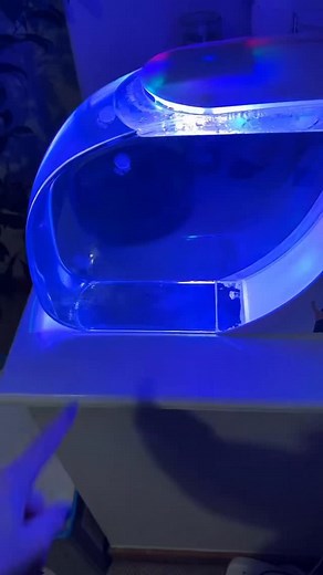 apparently target feeding can desensitise their feeding response, making them less effective at catching food on their own. i feel so bad for causing it damage 😭 it can be reversed over time so fingers crossed! it’s a very big learning curve 😢 #jellyfish #petjellyfish #bluecannonballjellyfish | Amy Spencer