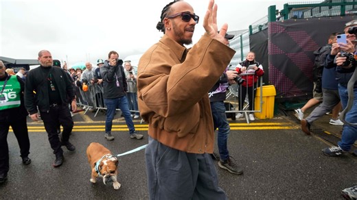 Lewis Hamilton says the death of his dog Roscoe is 'one of the most painful experiences'