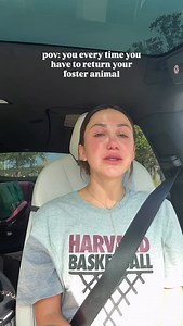 2.4M views · 42K reactions | Lola’s a 5-year-old German Shepherd. She...