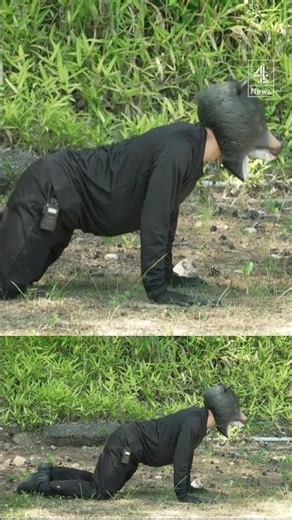 Man dresses as bear in Japan for intrusion drills