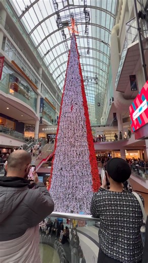 Christmas Tree light show🎄🌲🎅🤶🧑‍🎄 #lightshow #christmas2025 #eatoncenter #toronto #canada Part 1 | Raz Diaz