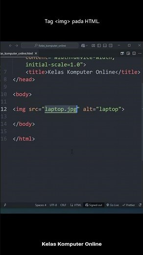 What Is the Img Tag in HTML? How to Display Images!