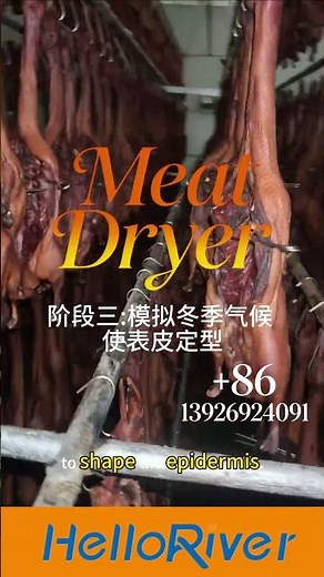 How to Mass Produce Cured Duck & Chicken - Industrial Heat Pump Drying Process Explained