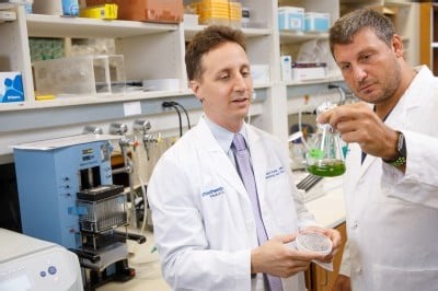 State’s Investment in Cancer Research Has Helped Draw Top Talent to UTSW | Newswise
