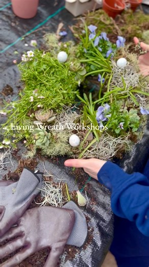 The Flowersmith Studio: Flower Farm & Studio, Floristry School on Instagram: "Our Living Wreath Workshops were an oasis of creative calm in the midst of what is an otherwise never ending whirlwind of activity here these days as we get everything ready for our new flower field!! 😅 I always love making them, but even more than that I love spending time with the most wonderful groups of women, getting to know each other, having a laugh and sharing news. Thank you so much to each of you who 