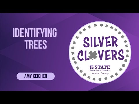 Identifying Trees