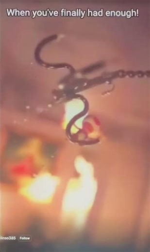 Toad get his revenge when nobody got mad at him