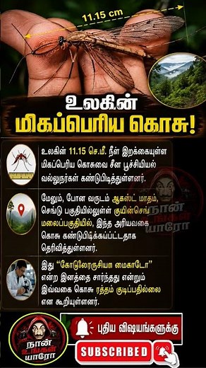 World’s Largest Mosquito Found! It Doesn’t Drink Blood? 🦟 | Amazing Facts | Naan ungal yaaro