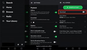 How Spotify Download Files Are Stored