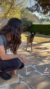 1.2M views · 30K reactions | Do you have a dog that plays keep away...