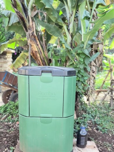 Opening this Aerobin shows active composting, with fungus visible on the biomass. Liquid fertilizer is also harvested directly from the unit. The Aerobin turns organic kitchen and garden waste into nutrient-rich organic liquid fertilizer and solid compost. #sustainability #composting #smartcomposting #fyp #recycling #aerobin #aerobinkenya
