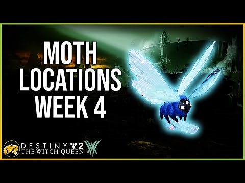 Lucent Moth Locations Week 4 - Court of Thorns - Witchs Echo - Lepidopterist - Destiny 2 Witch Queen