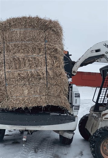 Smooth Ways to Handle Horse Hay Farming