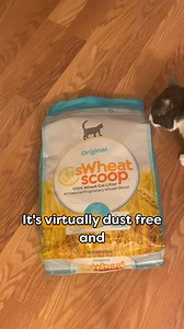 1.1K views · 137 reactions | Welcome to litter made better. Formulated with our proprietary natural wheat blend, sWheat Scoop Multi-Cat litter clumps even faster, scoops easily, and neutralizes litter box odors. And because wheat is virtually dust-free, tracking is minimal, and clean-up is a breeze—a must for homes with multiple cats! ✅ Superior odor control ✅ Clumps like a champ ✅ Virtually dust free ✅ Low tracking | PetSmart | Facebook