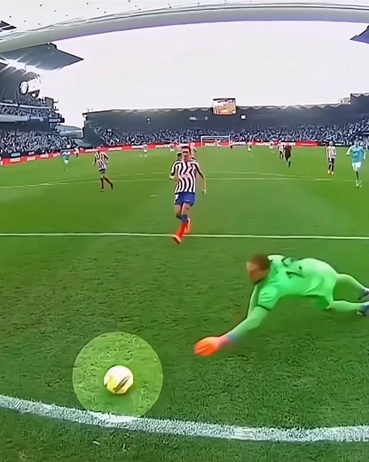 Top 5 Iconic Saves in Football History! ⚽