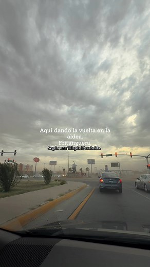 Según una Tilapia desabrida. #parati #viralpost #viralreels #Sonora #CdObregon #Ladyfritangas #tendencia #fritangas #Veracruz | Tierra Yaqui