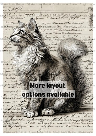 Vintage Kitten Rice Paper A4, Antique French Script Decoupage Paper, Dark Academia Cat Sketch Mulberry Paper, Junk Journal Supply - Etsy