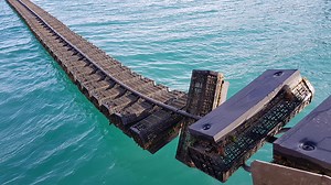 Innovation Award 2021 finalist: FlipFarm - Responsible Seafood Advocate