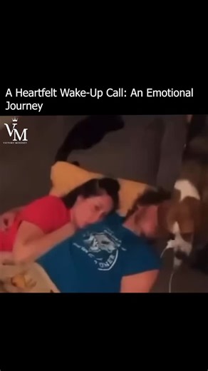 Business | Mindset | Hustle on Instagram: "@cheaters_never_win - "A Morning Like No Other" Wake up to the drama! It's morning, and the games are on. Or are they? The lines between reality and play are blurred, and the tension is palpable. You think you're awake, but are you really? The jabs and the comebacks fly fast, and before you know it, the stakes are high, and the accusations start to fly. The drama unfolds like a twisted game, with players taking their shots and trying to outmaneuver each