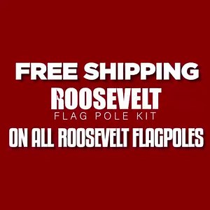 34 reactions |  Fly Your Flag with Strength and Pride — The...