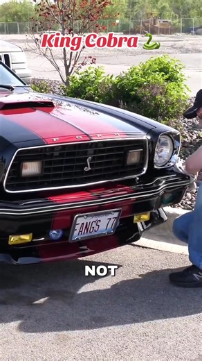 Mustang #musclecar #mustang | 1977 cobra mustang