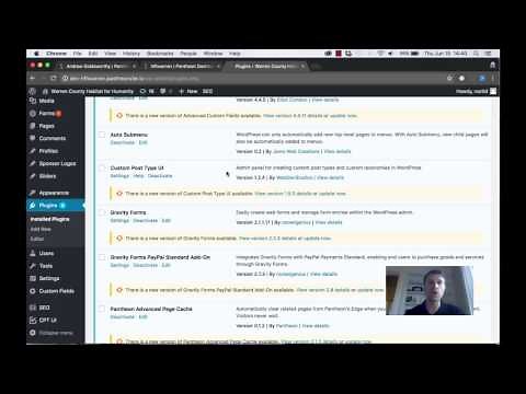 Wordpress Core and Plugin Updates on Pantheon
