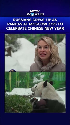Russians Dress As Pandas At Moscow Zoo To Celebrate The Chinese New Year