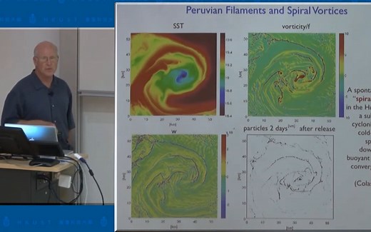 oceanic mesoscale eddies by James McWilliams