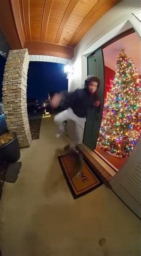 Teen Sneaks Out… Cat Attacks & Tree Crash 😂🌲