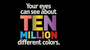 Weird But True!: The Senses