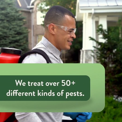 Greenix Pest Control