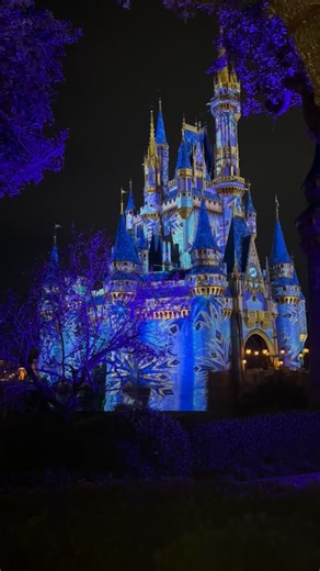 Beautiful Christmas vibes tonight at Magic Kingdom ! Ready to plan your next trip to the most Magical Place on Earth? Contact me today! gracem@youcanflytravels.com | Grace with You Can Fly Travels, LLC | Facebook