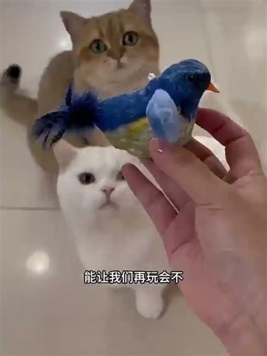 Sound module used for the pet toys ( a bird plush)