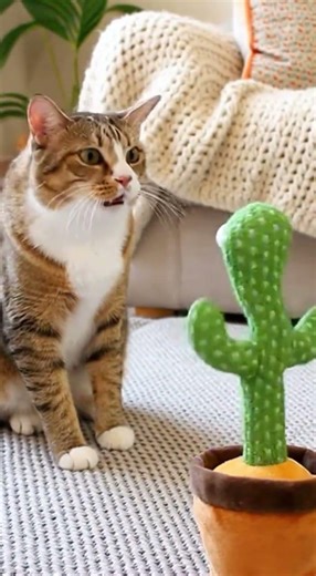 Cat vs Talking Cactus Toy 😂🌵 | Funniest Meow Battle!