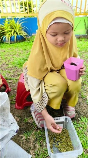 LCS: Recap lesson Plants by using LCS kit