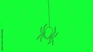 Spider Descending from top Animation on green screen. Spooky Movement of the spider insect hanging in line. Outline motion design