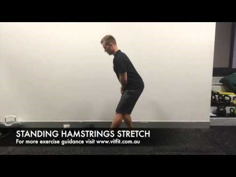 STANDING HAMSTRINGS STRETCH