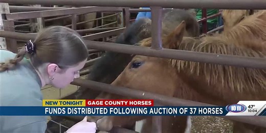 Funds distributed following Gage County horse auction