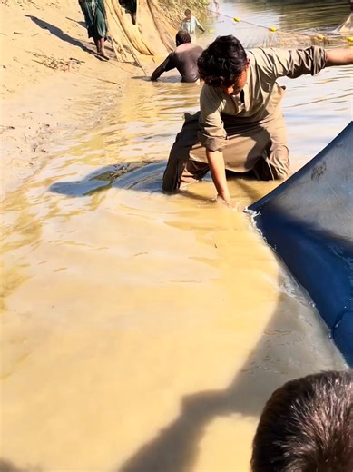 Should I Release or Keep These Fish?