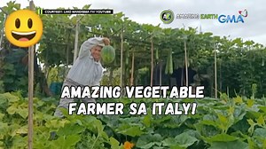 19 reactions | #AmazingEarthPh #Exclusive: Kilalanin ang amazing vegetable farmer sa Italy! I-LIKE ang GMA Playground and visit https://bit.ly/2W89m3K to learn and play every day! | Amazing Earth Ph | Facebook