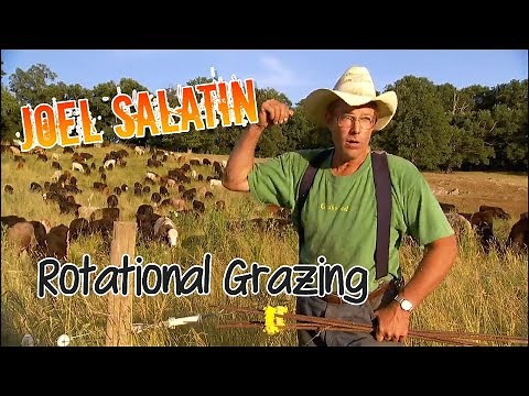 Joel Salatin Talks Rotational Grazing and Cutting Hay